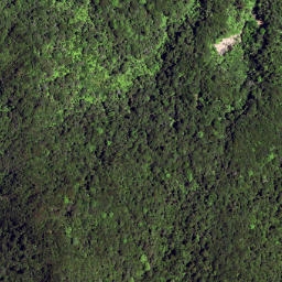 Satellite imagery of J PUKEAMARU, NZ