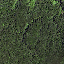 Satellite imagery of J PUKEAMARU, NZ