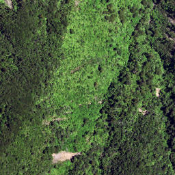 Satellite imagery of J PUKEAMARU, NZ