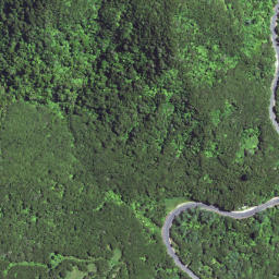 Satellite imagery of 6372, NZ