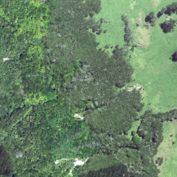 Satellite imagery of Horoera Point, NZ