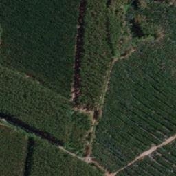 Satellite imagery of Cerro Los Mayos, CL