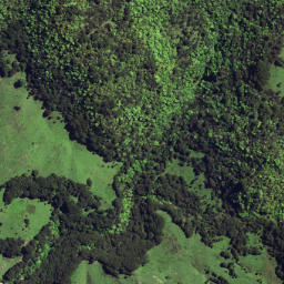 Satellite imagery of 6253, NZ
