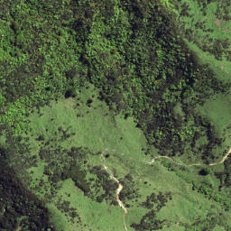 Satellite imagery of 6253, NZ