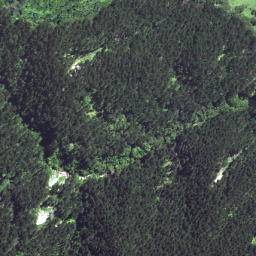 Satellite imagery of Horoera Point, NZ