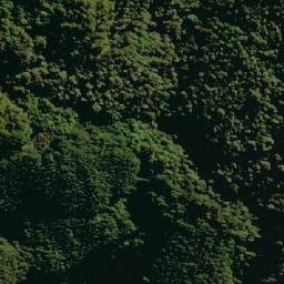 Satellite imagery of Cerro Pino Labrado, CL