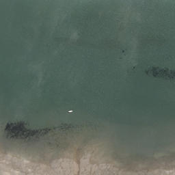 Satellite imagery of Oikimoke Point, NZ