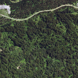 Satellite imagery of 6296, NZ
