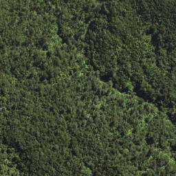 Satellite imagery of J PUKEAMARU, NZ