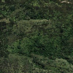 Satellite imagery of 6192, NZ