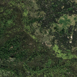 Satellite imagery of 6192, NZ