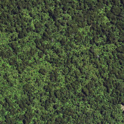 Satellite imagery of 6296, NZ