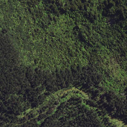 Satellite imagery of 6298, NZ