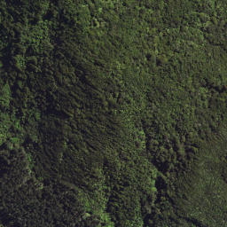 Satellite imagery of 6298, NZ