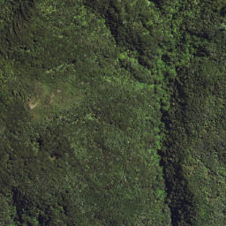 Satellite imagery of 6298, NZ