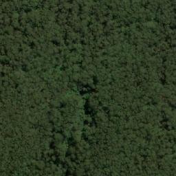 Satellite imagery of Mount Riddell, AU