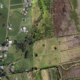 Satellite imagery of Oikimoke Point, NZ