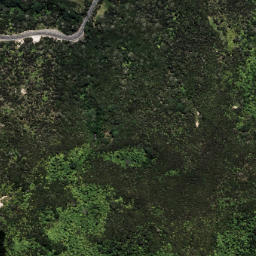 Satellite imagery of 6193, NZ