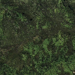 Satellite imagery of 6192, NZ