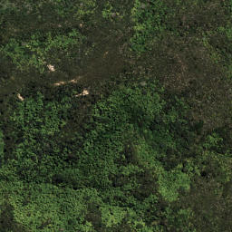 Satellite imagery of 6192, NZ