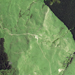 Satellite imagery of 6281, NZ