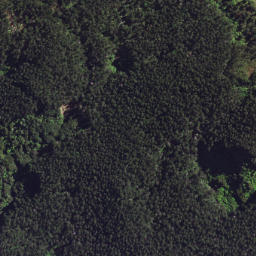 Satellite imagery of 6298, NZ