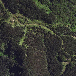 Satellite imagery of 6298, NZ
