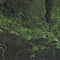 Satellite imagery of 6298, NZ