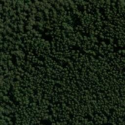 Satellite imagery of Mount Riddell, AU
