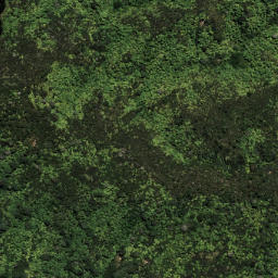 Satellite imagery of 6193, NZ