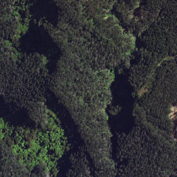 Satellite imagery of 6298, NZ