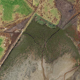 Satellite imagery of Te Ngaiopapapa Point, NZ