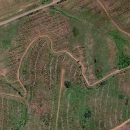 Satellite imagery of Cerro Picae, CL