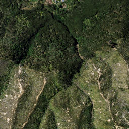 Satellite imagery of 1325 WAIKAWA, NZ