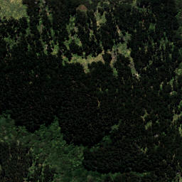 Satellite imagery of 6194, NZ