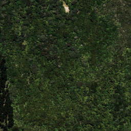Satellite imagery of 6194, NZ