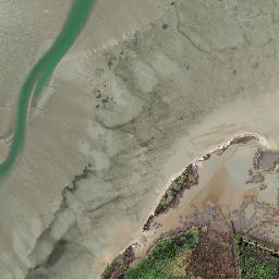 Satellite imagery of Maheka Point, NZ