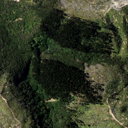 Satellite imagery of 6191, NZ