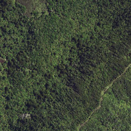 Satellite imagery of W55 TE KOKOMUKA, NZ