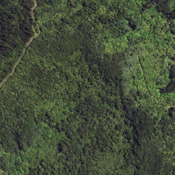 Satellite imagery of W55 TE KOKOMUKA, NZ