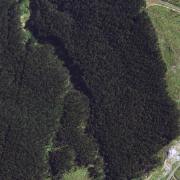 Satellite imagery of 6295, NZ