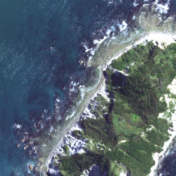 Satellite imagery of D NO 2, NZ