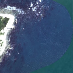 Satellite imagery of D NO 2, NZ