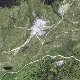 Satellite imagery of 6295, NZ