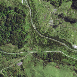 Satellite imagery of 6291, NZ
