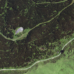 Satellite imagery of 6291, NZ