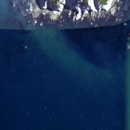 Satellite imagery of D NO 2, NZ
