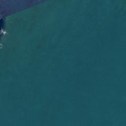 Satellite imagery of D NO 2, NZ