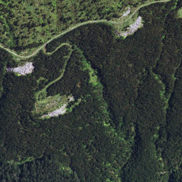 Satellite imagery of 6295, NZ