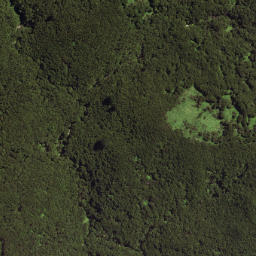 Satellite imagery of L TE KOHE, NZ